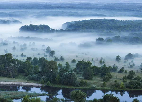 Flussufer Und Nebliger Wald Sommermorgen — Stockfoto