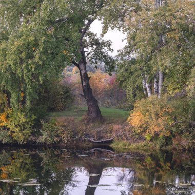 Suyun üzerindeki güzel ağaçlar yumuşak akşam ışığında, gerisi için cennet gibi bir yer.