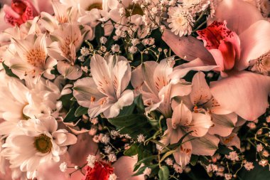 Çiçek arkaplan. Çeşitli çiçeklerin parlak dokusu. Bahar ve yaz kavramı, doğa, ekoloji. Romantizm teması, aşk, Sevgililer Günü.