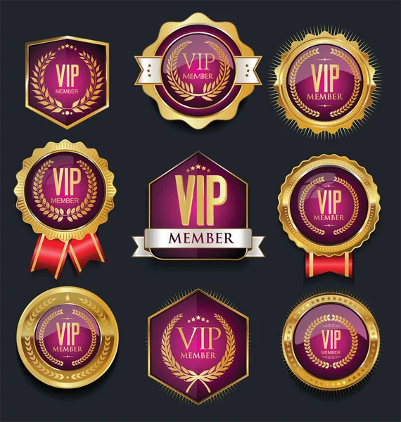 VIP silver a gold label kolekce — Stockový vektor