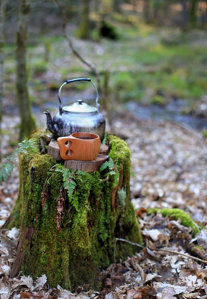 Teapot and cup of tea in the forest