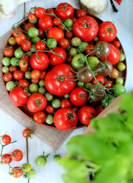 Rote Und Grüne Tomaten Auf Einem Teller — Stockfoto