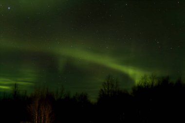 Kuzey Kutup Dairesi Arkasında Aurora Borealis