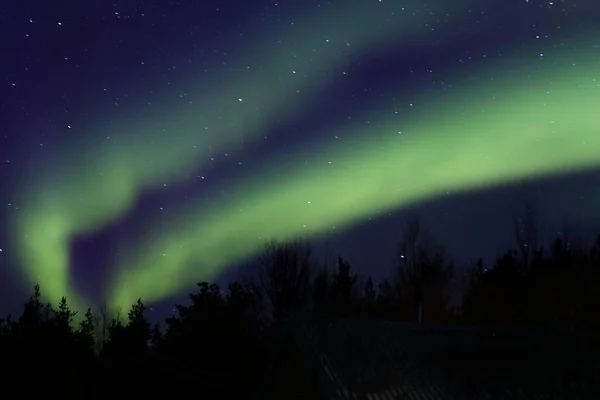 Kuzey Kutup Dairesi Arkasında Aurora Borealis