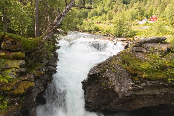 Cascada en un bosque — Foto de Stock