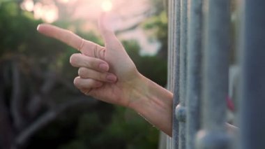 Hand shows various gestures. Different emotions with gestures. A hand peeks out from behind the bars and shows a welcome, hello and like sign. Counting from one to five.