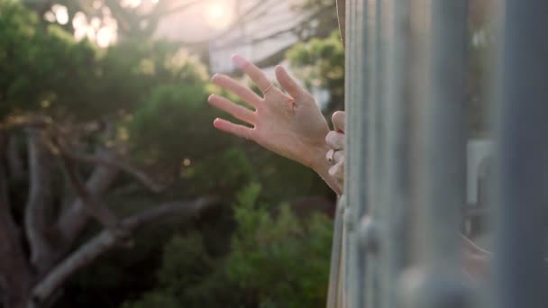 La mano mostra vari gesti. Emozioni diverse con gesti. Una mano sbircia fuori da dietro le sbarre e mostra un saluto, benvenuto, addio, come e ok segno . — Video Stock