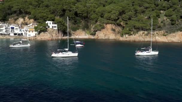 Small white boats and yachts in the azure bay among the pines. Pine trees growing on the rocks. A motor boats and sailing yachts are anchored in a small bay. Blue lagoon. Small white houses. — ストック動画