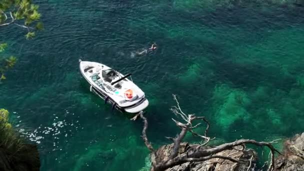 Top view of a small white boat in the azure bay among the pines. Lone swimmer in the clear blue sea. Pine trees growing on the rocks. A motor boat is anchored in a small bay. — Stok video