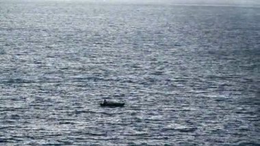 A lonely man is sailing in the evening sea. Sun glare on the ripples of dark water. Calmness and pacification. Fisherman goes to sea. Beautiful sea. Rowing with oars.