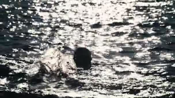 Une fille nage dans la mer brillante. Éblouissement du soleil sur les ondulations de la mer et éclaboussures d'eau. La silhouette féminine flotte au loin. Calme et pacification. Palette désaturée. Belles vacances . — Video