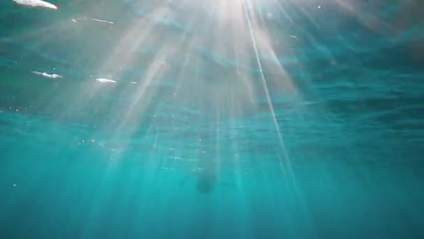 Das rothaarige Mädchen im schwarzen Neoprenanzug planscht und schwimmt unter Wasser. Sonnenstrahlen in klarem smaragdgrünem Wasser. Gischt und Sonneneinstrahlung auf dem Meeresgrund. Schwimmen im offenen Wasser. wunderschöne Unterwasserlandschaft — Stockvideo