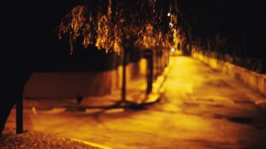 Night view of a quiet street through the foliage of a tree. Willow branches sway in the wind. The yellow light of the lanterns illuminates the road. Car headlight light.