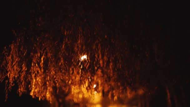 Noční pohled na klidnou ulici přes listí stromu. Vrbové větve se houpají ve větru. Silnici osvětluje žluté světlo luceren. Světlo majáku v dálce. — Stock video