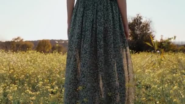 Chica en vestido verde de pie en el campo tonto de flores amarillas florecientes. Mujer de pelo largo admira la vista del hermoso campo. Luz dorada en un paisaje idílico. Paz y tranquilidad . — Vídeos de Stock