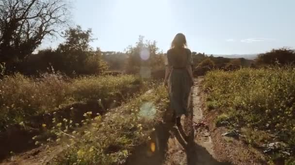 Menina de vestido verde caminha através dos campos tolo de flores amarelas florescendo. Mulher de cabelo comprido anda ao redor do belo campo. Luz dourada na paisagem idílica. Paz e tranquilidade . — Vídeo de Stock