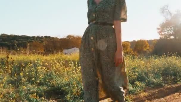 Chica en vestido verde camina por los campos tonta de flores amarillas florecientes. Mujer de pelo largo pasea por el hermoso campo. Luz dorada en un paisaje idílico. Paz y tranquilidad . — Vídeos de Stock