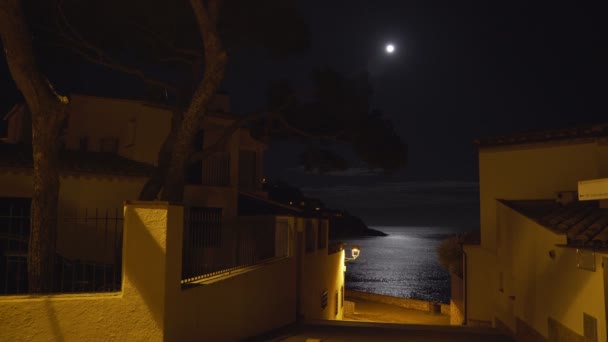 Mondlicht, das sich in einer Meereswoge am Ufer eines kleinen mediterranen Dorfes widerspiegelt. Vollmond. Mondweg im nächtlichen Meer. Gelbes Licht einer Laterne auf einer ruhigen Straße, die zum Strand führt. Mondnacht. — Stockvideo