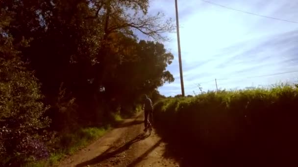 緑のドレスの少女は、フィールド、森林や牧草地の間の田舎道に自転車に乗っています。絵のように美しい田舎。田舎の自転車に乗る。路地、松やヒノキと森。黄金の光長い髪. — ストック動画