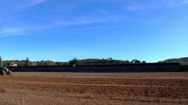 El tractor araña el suelo. Una bandada de garzas blancas y gaviotas vuela alrededor. Las aves pastan en el campo. Agricultura y agricultura. Tecnología agrícola. Preparación para sembrar campos. Hermosas aves . — Vídeo de stock