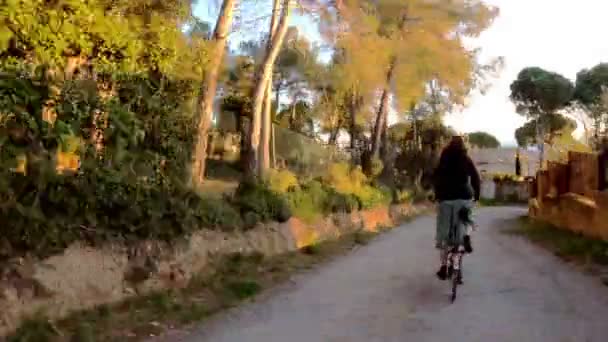 Uzun saçlı bir kız kırsal bir yolda bisiklet sürüyor tarlalar, ormanlar ve çayırlar arasında. Resimli kırsal kesim. Kırsal bisiklet yolculuğu. Sokaklar, çam ağaçları ve selvi ağaçları. Altın ışık. — Stok video