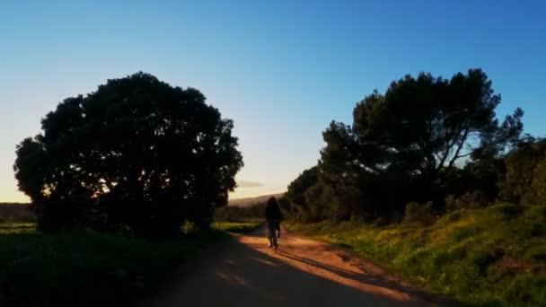 Дівчина в зеленому платті їде на велосипеді по сільській дорозі серед полів, лісів і луків. Чарівна сільська місцевість. Сільська їзда на велосипеді. Прості ліси з соснами та кипарисами. Золоте світло. Довге волосся . — стокове відео