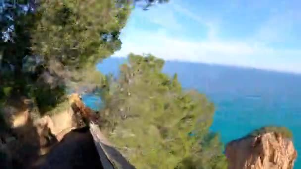 Correr a lo largo de los acantilados costeros. Vista desde la perspectiva del corredor. Pintoresca costa marina. Acantilados escarpados con pinos y el mar azul. Camina en un día despejado. Estilo de vida saludable al aire libre . — Vídeo de stock