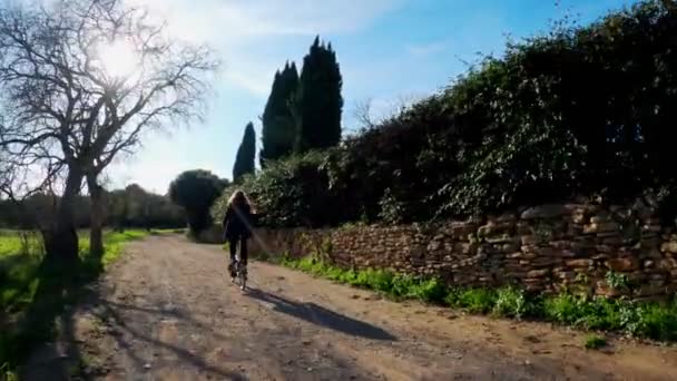 長い髪の女の子は、フィールド、森林や牧草地の間の田舎道に自転車に乗っています。絵のように美しい田舎。田舎の自転車に乗る。路地、松やヒノキと森。黄金の光. — ストック動画