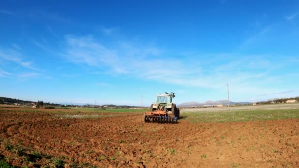 O trator limpa o solo. Um bando de garças brancas e gaivotas voa ao redor. Os pássaros pastam no campo. Agricultura e agricultura. Tecnologia agrícola. Preparação para semear campos. Lindos pássaros . — Vídeo de Stock