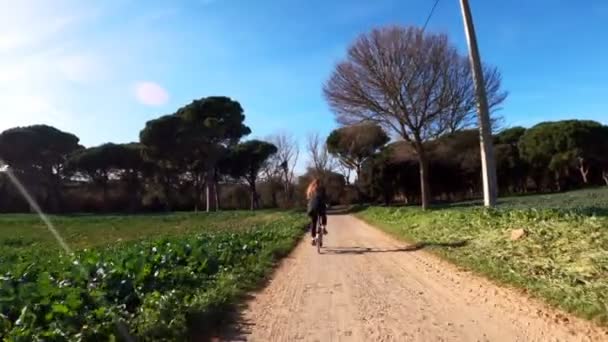 Ένα κορίτσι με μακριά μαλλιά οδηγεί ένα ποδήλατο σε ένα αγροτικό δρόμο ανάμεσα σε χωράφια, δάση και λιβάδια. Γραφική εξοχή. Βόλτα με ποδήλατα. Δάση με πεύκα και κυπαρίσσια. Χρυσό φως. — Αρχείο Βίντεο