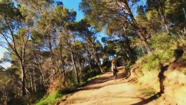 En flicka i grön klänning cyklar på en landsväg mellan åkrar, skogar och ängar. En pittoresk landsbygd. Landsbygdscykeltur. Alléer, skogar med tallar och cypresser. Gyllene ljus. Långt hår. — Stockvideo