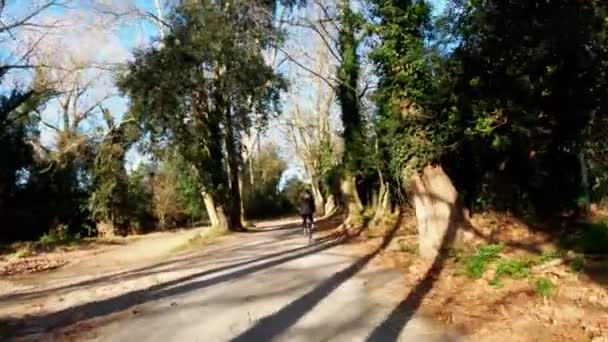 लांब केस असलेली मुलगी शेतात, जंगले आणि मेडवोमध्ये ग्रामीण रस्त्यावर सायकल चालवते. चित्रात्मक देशभरात. ग्रामीण बाईक चालवा. अली, पिन आणि सायप्रसेस असलेले जंगल. सुवर्ण प्रकाश . — स्टॉक व्हिडिओ