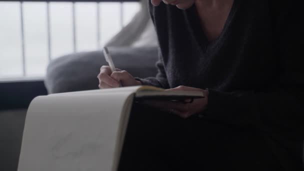 その画家はスケッチをする。少女はスケッチブックにバスケットを描く。白い紙にライナーで黒と白の図面。スケッチのために閉じます。手描き。スケッチとドローイング. — ストック動画