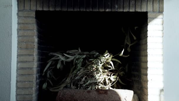 女の子は暖炉の中にユーカリの枝を置きます。家庭の暖かさと快適さ。いい雰囲気だ。自然の色。乾燥した植物。環境に優しい美意識. — ストック動画