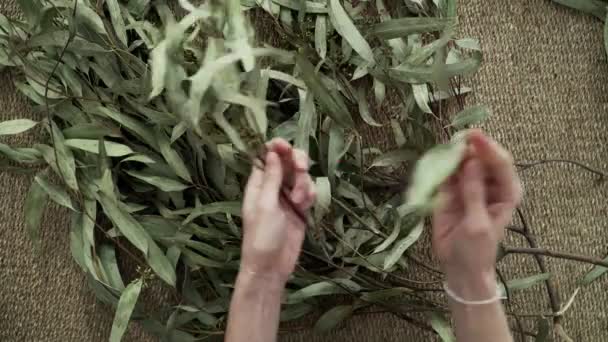 Buquê de ramos e folhas de eucalipto. Close-up de mãos femininas escolhendo um buquê. Florista no trabalho. Composição de plantas. Cores naturais. Buquê de primavera. Flores secas. Estética ecológica . — Vídeo de Stock