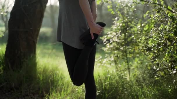 一个年轻的女运动员在慢跑前伸展身体.准备在树林中的公园里跑步。户外运动。健康的生活方式美丽的乡村风景。春天的颜色金色的光跑. — 图库视频影像