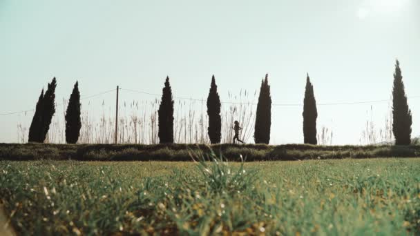 Jeune femme athlétique faisant du jogging un matin de printemps. Jogging le long de la route entre les cyprès et les champs verts. Sports de plein air. Mode de vie sain. Beau paysage rural. Couleurs printanières. Courir . — Video