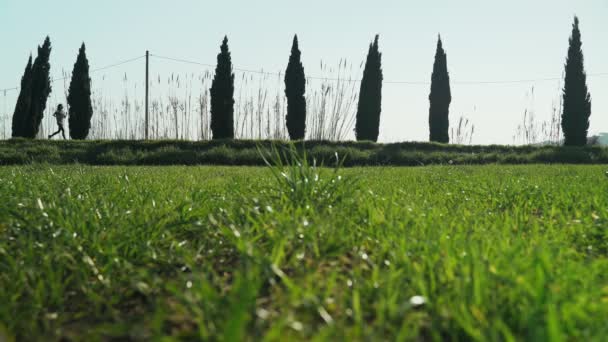 Giovane atletica che fa jogging in una mattina di primavera. Jogging lungo la strada tra cipressi e campi verdi. Sport all'aria aperta. Uno stile di vita sano. Bellissimo paesaggio rurale. Colori primaverili. Correre . — Video Stock