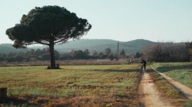 Kırsal bir yol boyunca genç bir kadın bisikletle yürüyor. Güzel bahar manzarası. Yalnız ağaç ve güzel tepeler. Açık hava sporları. Sağlıklı bir yaşam tarzı. Kırsal alan. Bahar renkleri. Altın ışık.