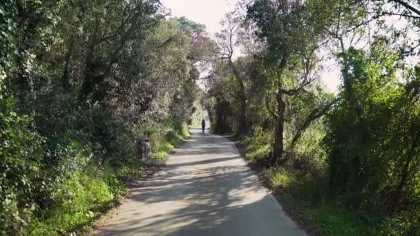 Young athletic woman jogging on a spring morning. Jogging along the road among trees and green fields. Outdoor sports. Healthy lifestyle. Beautiful rural scenery. Spring colors. Golden light. Running. — Stock Video