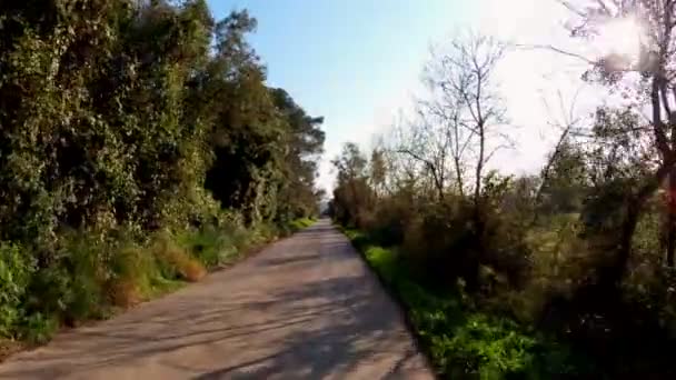 一个长头发的女孩骑自行车在田野、森林和草地之间的乡间路上。风景如画的乡村。骑乡村自行车。背着背包的女孩走廊，森林和柏树。金色的光. — 图库视频影像