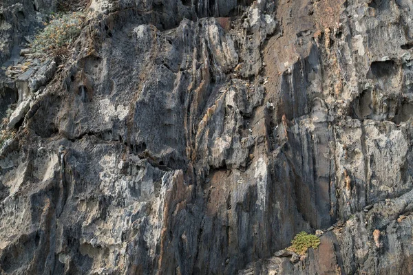 Textura de piedra natural. Textura de roca. Superficie del acantilado. Roca estratificada. Hermosa piedra natural. Arenisca. Naturaleza. Viajes . — Foto de Stock