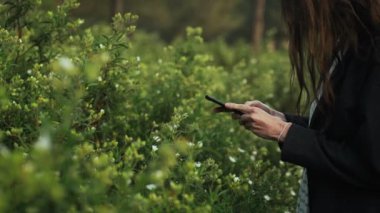 Gri ceketli kız akıllı telefondaki beyaz bahar çiçeklerini fotoğraflıyor. Uzun saçlı kadın güzel kırsalda yürüyor. Cennet manzarasında altın bir ışık. Bahar. Yaz. Beyaz çalılar. Orman