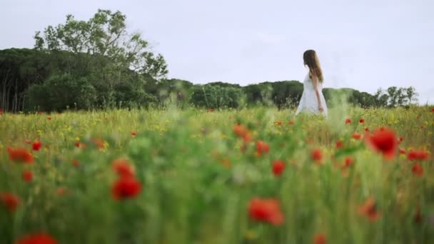 Дівчина в білій смугастій сукні проходить через пшеничне поле з червоними маками. Довге волосся жінка ходить навколо красивої сільської місцевості. Золоте світло в ідилічному ландшафті. Весняне поле. Літня квітка. Спокійний — стокове відео