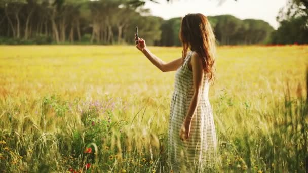 Meisje in wit gestreepte jurk fotografeert het tarweveld met rode klaprozen op de smartphone. Lange haar vrouw loopt rond op het prachtige platteland. Gouden licht in idyllisch landschap. De lente. Zomer. — Stockvideo