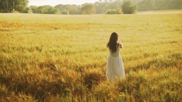 Gadis bergaris-garis putih foto-foto ladang gandum dengan bunga poppy merah di smartphone. Wanita rambut panjang berjalan di sekitar pedesaan yang indah. Cahaya emas dalam lanskap idyllic. Musim semi. Musim panas. — Stok Video