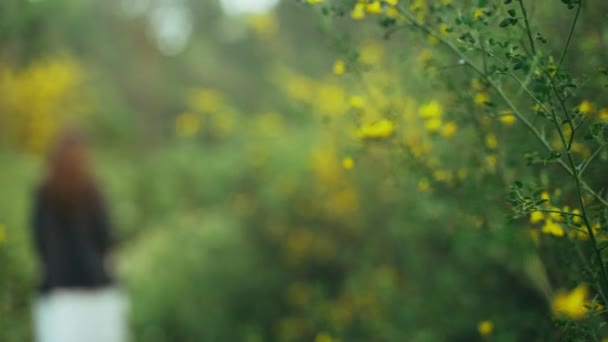 Chica con un vestido de rayas blancas y chaqueta gris camina entre los árboles en el bosque. Mujer de pelo largo pasea por el hermoso campo. Luz dorada en un paisaje idílico. Primavera. Verano. Senderismo . — Vídeo de stock