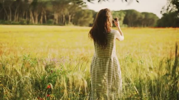 Girl in white striped dress photographs the wheat field with red poppies on the smartphone. Long hair woman walks around the beautiful countryside. Golden light in idyllic landscape. Spring. Summer. — Stock Video