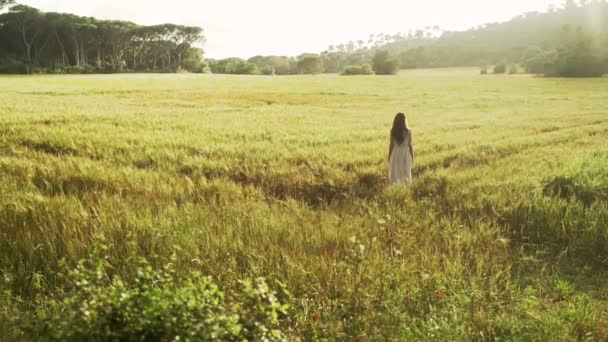 Chica con vestido blanco a rayas camina por el campo de trigo con amapolas rojas. Mujer de pelo largo pasea por el hermoso campo. Luz dorada en un paisaje idílico. Campo de primavera. Flor de verano. Calma. — Vídeos de Stock