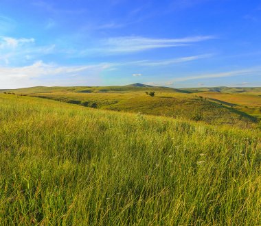 Otlar ve ayrı ağaçları tepelerde yaz.